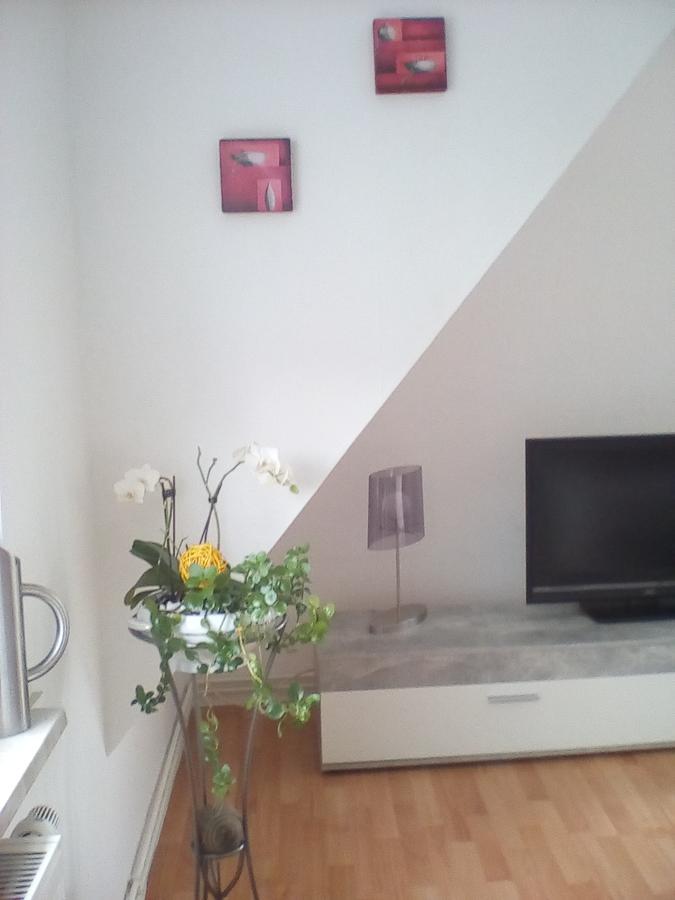 Ferienwohnung Am Geiersberg Walkenried エクステリア 写真