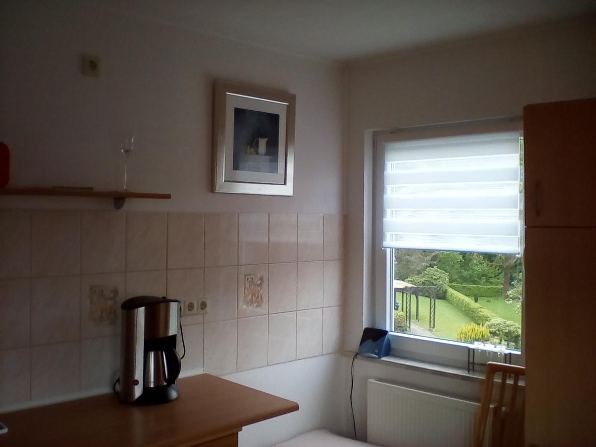 Ferienwohnung Am Geiersberg Walkenried エクステリア 写真