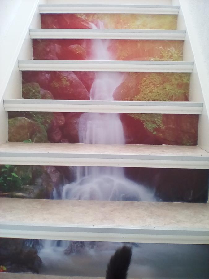 Ferienwohnung Am Geiersberg Walkenried エクステリア 写真