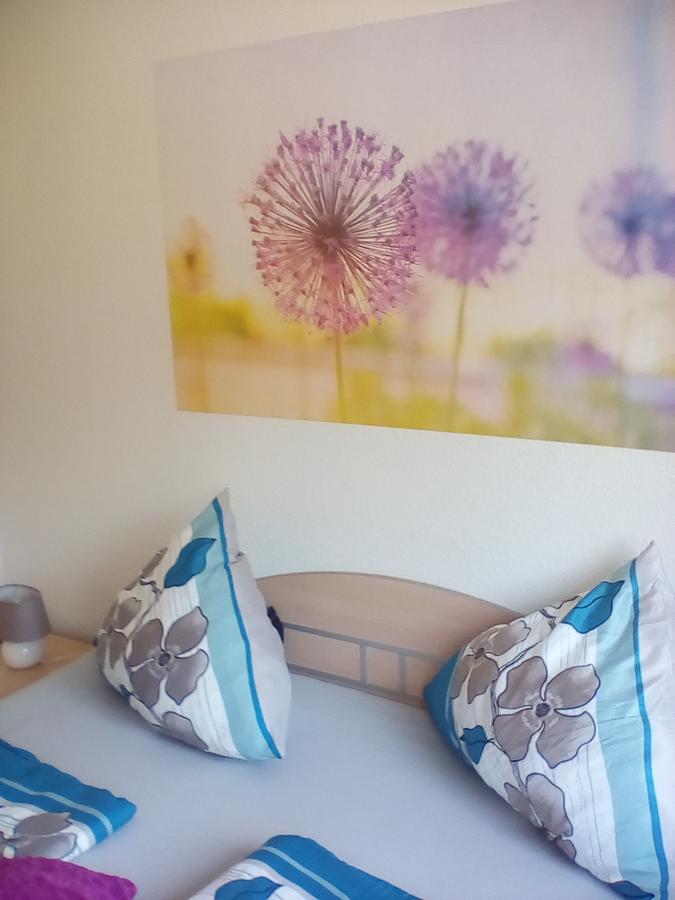 Ferienwohnung Am Geiersberg Walkenried エクステリア 写真