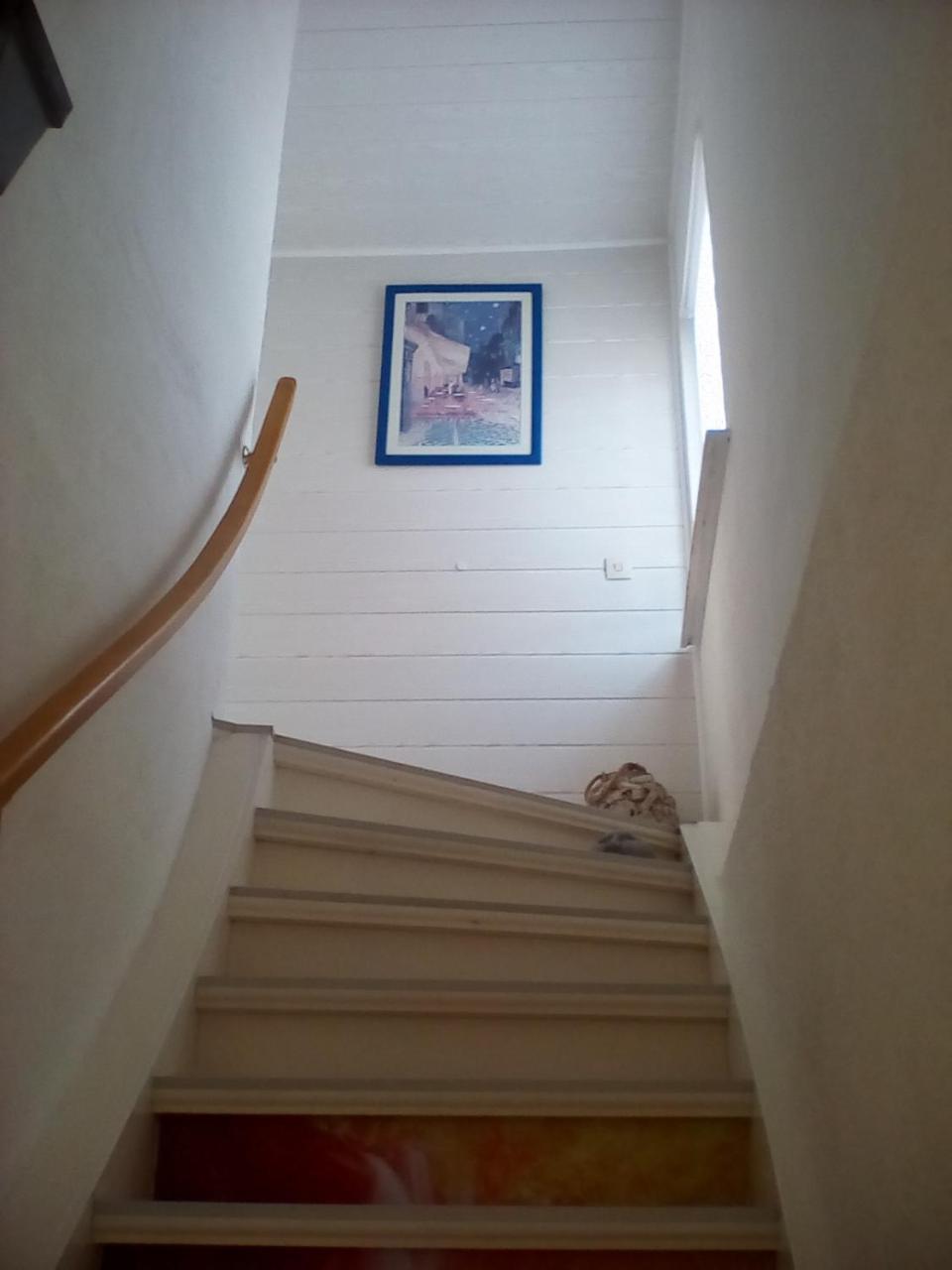 Ferienwohnung Am Geiersberg Walkenried エクステリア 写真
