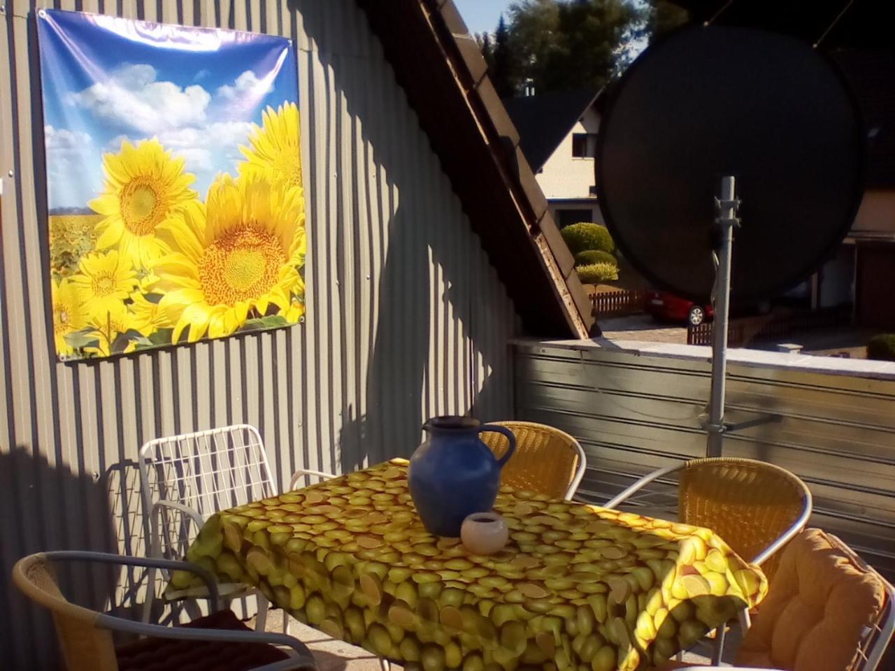 Ferienwohnung Am Geiersberg Walkenried エクステリア 写真