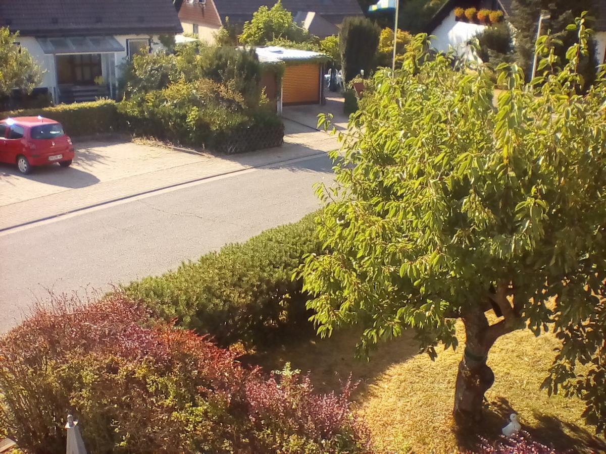 Ferienwohnung Am Geiersberg Walkenried エクステリア 写真