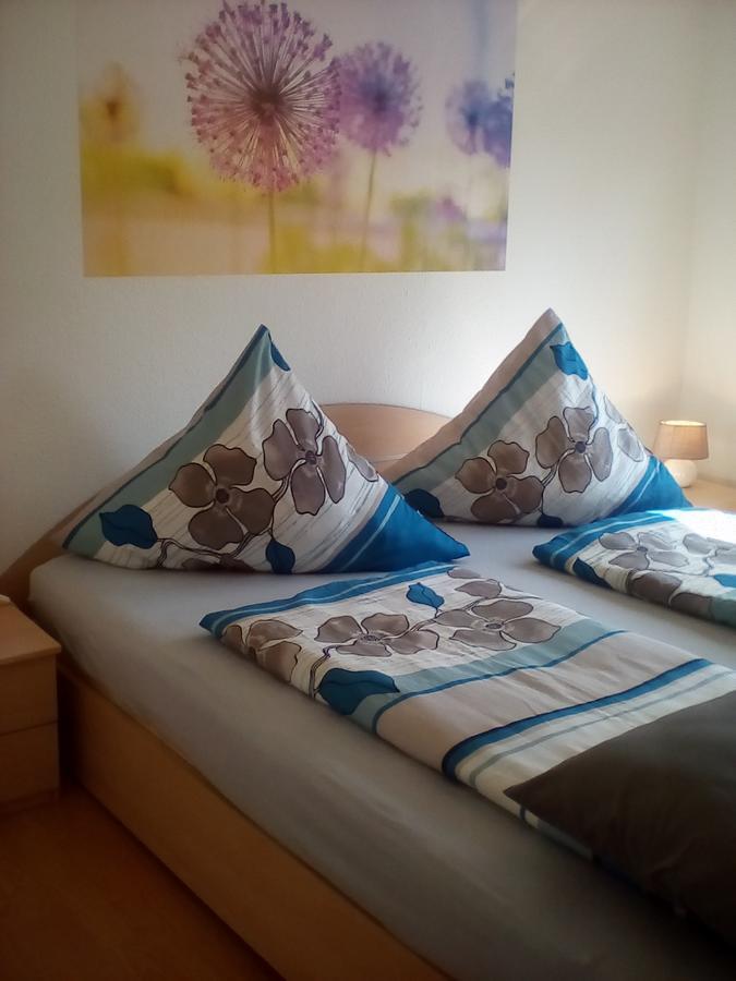 Ferienwohnung Am Geiersberg Walkenried エクステリア 写真