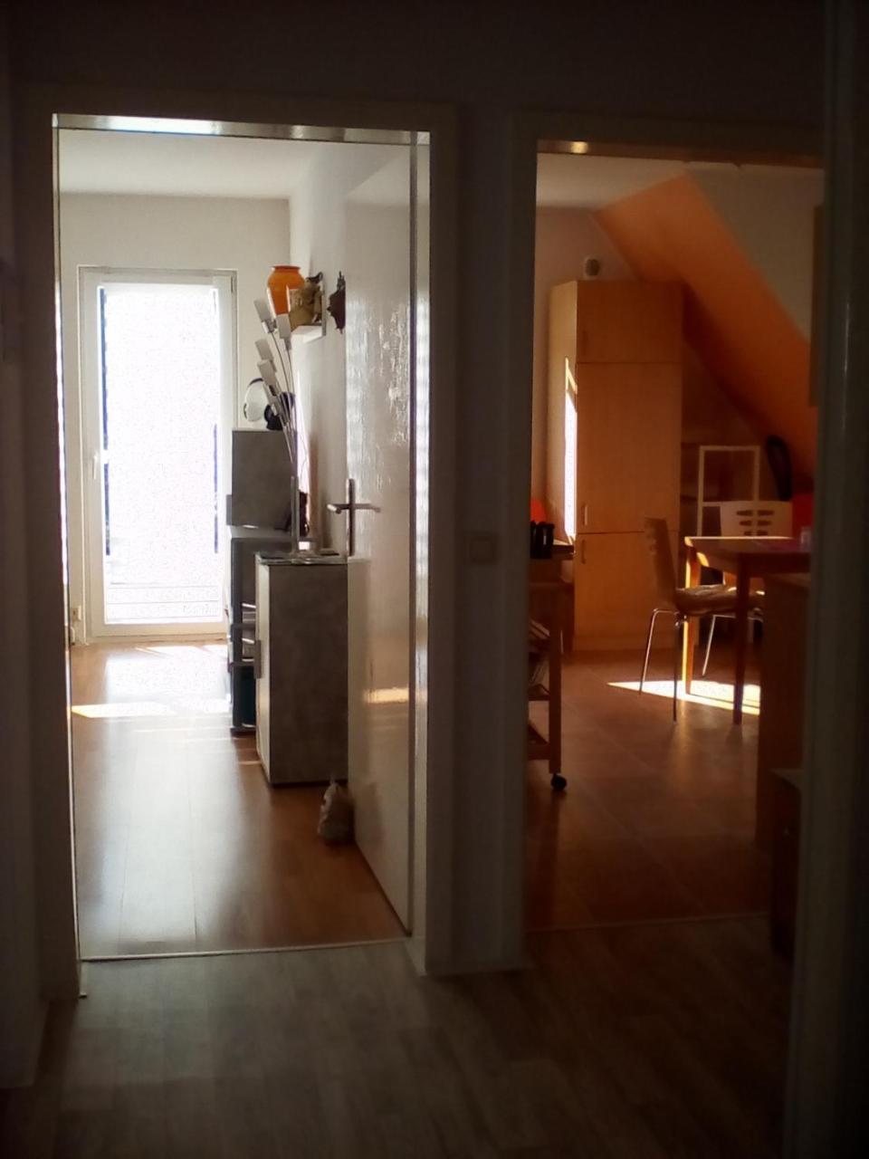 Ferienwohnung Am Geiersberg Walkenried エクステリア 写真