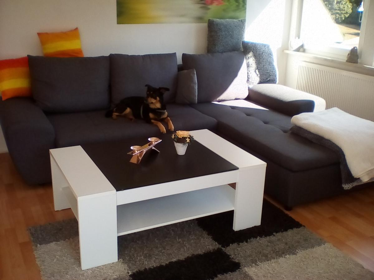 Ferienwohnung Am Geiersberg Walkenried エクステリア 写真
